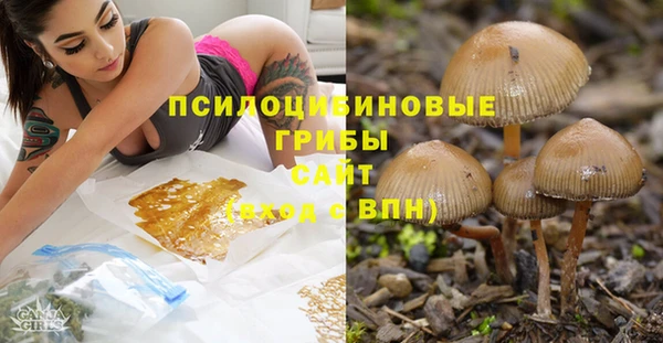 каннабис Няндома