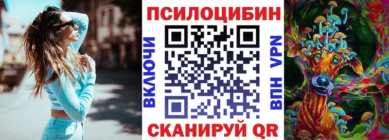 Галлюциногенные грибы Cubensis  закладки  нарко площадка какой сайт  Хабаровск 