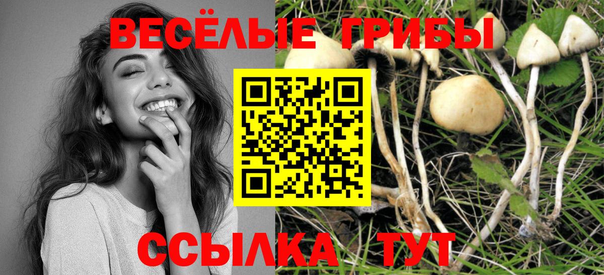 Псилоцибиновые грибы Cubensis  Вход с VPN  Галлюциногенные грибы GOLDEN TEACHER  Хабаровск 