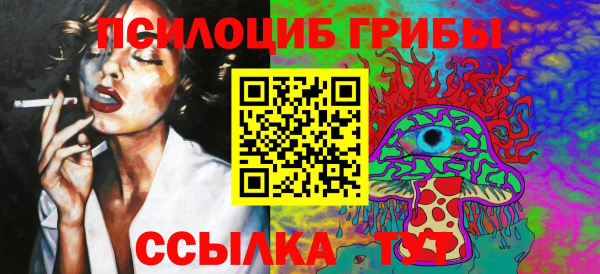 Галлюциногенные грибы Psilocybe Хабаровск